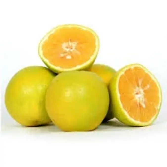 Fresh Orange Local P/Kg
